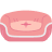 Pet Couch